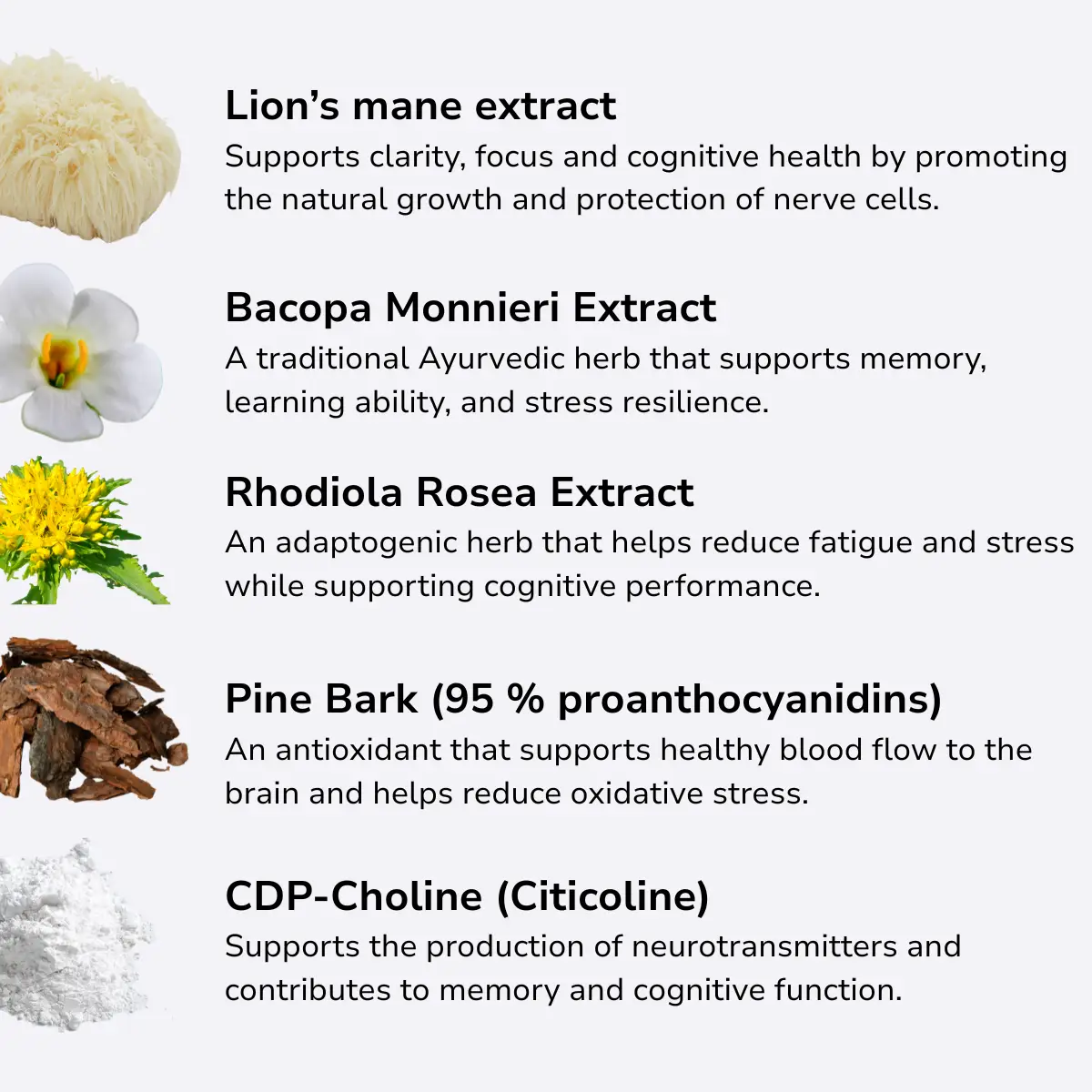 Brain Optima - Image 5