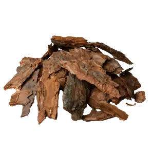 Pine Bark Extract